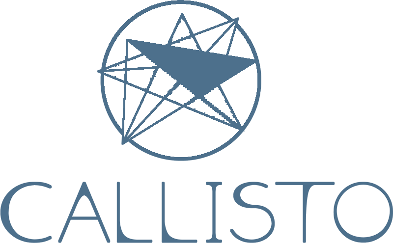 Callisto - Our Wave Partner